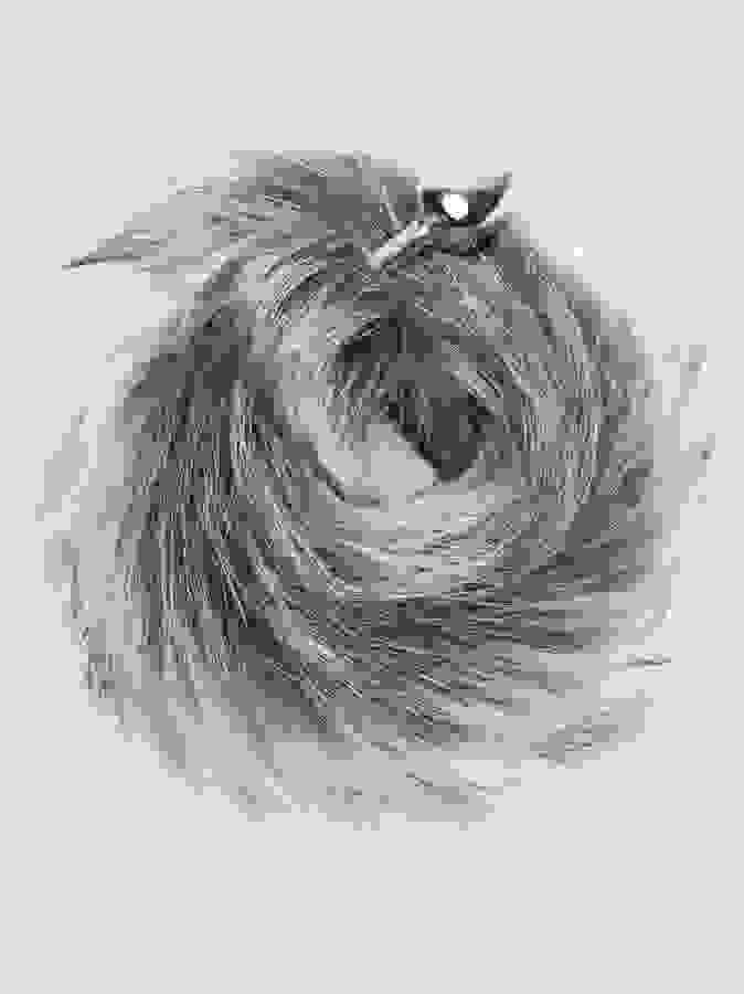 DOMINIX Deluxe Stainless Steel Small Faux Silver Fox Tail Butt Plug, Silver, hi-res